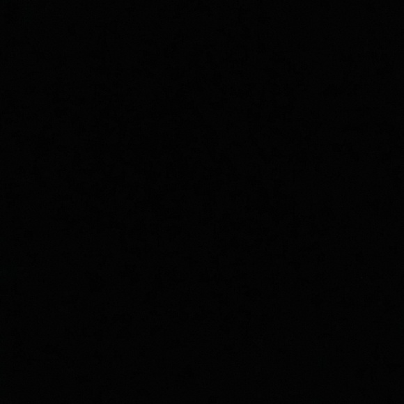 Meet your Posher, Gabriel - Picture 1 of 1